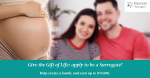 Harvest Babies Surrogacy logo
