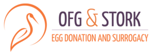 Our Fairy Godmother & Stork (OFG & STORK) logo