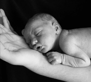 The Surrogacy Path logo